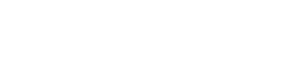 Sinai Health Foundation